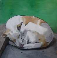 À quoi rêvent les chiens?