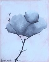 Fleur de givre 3