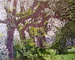 Le jardin Labeille
