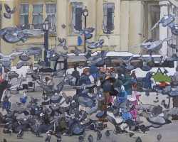 Pigeon bleu à Trafalgar